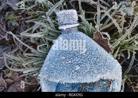 UK. Eine Plastikflasche auf einem Gras Kante, bedeckt mit advektion Frost (hoar Frost, Wind, Frost oder Frost spikes), gebildet, um nach einer bitterkalten Nacht Stockfoto