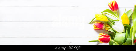 Tulpen flower background. Rote gelbe und weiße Tulpen auf weißem Holztisch. Lange Format. Stockfoto