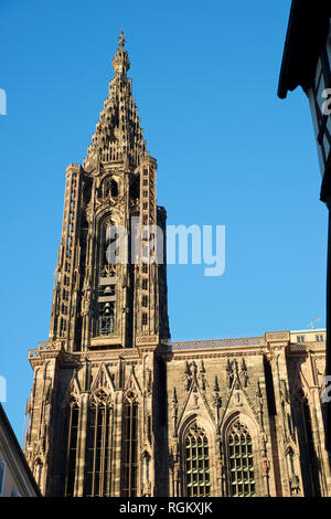 Kathedrale in Straßburg, Elsass, Frankreich. Stockfoto