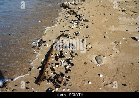 Spuren im Sand am Strand in der Bretagne Frankreich Europa Stockfoto