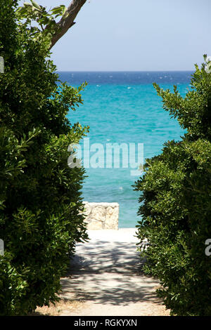 Blick aufs Meer durch die grüne Büsche Stockfoto