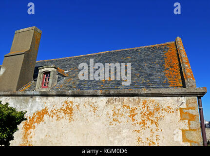 Bullet Löcher in der Wand, Fort National von Vauban in Dinard, Bretagne, Bretagne, Ille-et-Vilaine, Frankreich, Europa Stockfoto