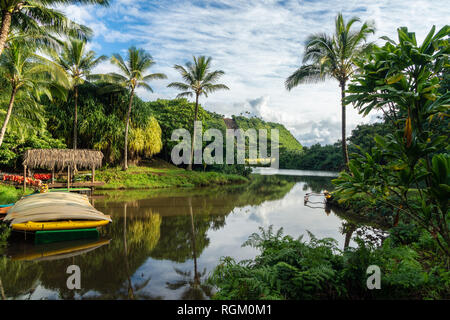 Kanus und Kajaks an einem Fluss mit Palmen und Reflexion. Wailua River, Kauai, Hawaii Stockfoto