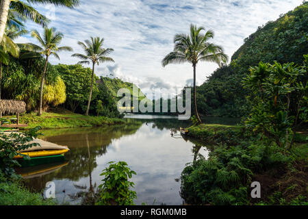 Kanus und Kajaks an einem Fluss mit Palmen und Reflexion. Wailua River, Kauai, Hawaii Stockfoto