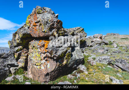 Die Rocky Mountains mit bunten Flechten auf Felsen entlang der Pisten in der Nähe von Estes Park, Colorado, USA. Stockfoto