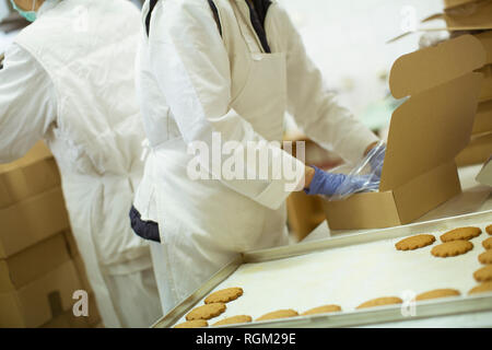 In Schutzkleidung Workier arbeiten in den cookies Factory Stockfoto