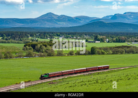 Dampfmaschine Braeriach hat in Broomhill Station auf der Strathspey Railway vom Boot von Garten mit Cairngorm Mountains im Hintergrund angekommen Stockfoto