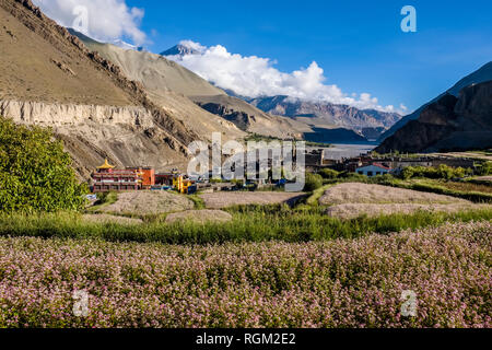 Blick auf die Stadt und die landwirtschaftliche Umgebung, Blick nach Norden in der Kali Gandaki Tal Stockfoto