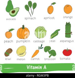 Obst und Gemüse mit einem hohen Gehalt an Vitamin A Hand gezeichnet Vitamin einstellen Stock Vektor