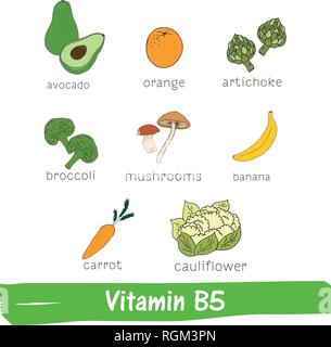 Obst und Gemüse mit einem hohen Gehalt an Vitamin B5. Hand gezeichnet Vitamin einstellen Stock Vektor