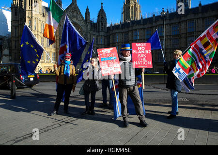 Demonstranten gesehen halten Fahnen und Plakaten während des Protestes. Anti-Brexit Aktivisten protestierten außerhalb der Häuser des Parlaments über Großbritannien die EU verlassen. Stockfoto