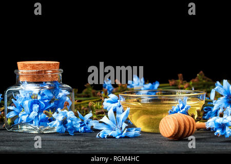 Gemeinsame CHICORÉE (Cichorium intybus) Kraut in der Flasche. Alternative Medizin Konzept auf Holztisch auf schwarzen Hintergrund (selektive Fokus). Stockfoto