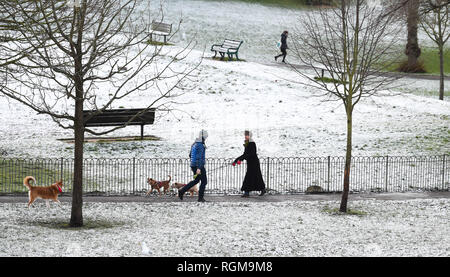 Brighton UK 30. Januar 2019 - Hund Spaziergänger im Schnee in Queens Park Brighton, die am frühen Morgen, als mehr Schnee und Frost sind für den Südosten von England morgen Kredit Prognose: Simon Dack/Alamy leben Nachrichten Stockfoto