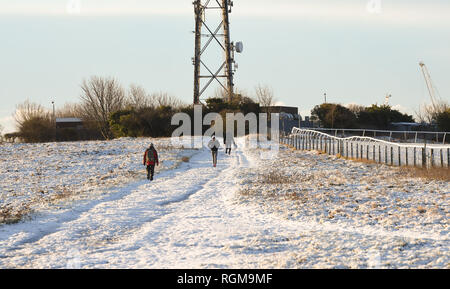 Brighton UK 30. Januar 2019 - Schnee auf den Hügeln von Brighton racecourse am frühen Morgen, als mehr Schnee und Frost sind für den Südosten von England morgen Kredit Prognose: Simon Dack/Alamy leben Nachrichten Stockfoto