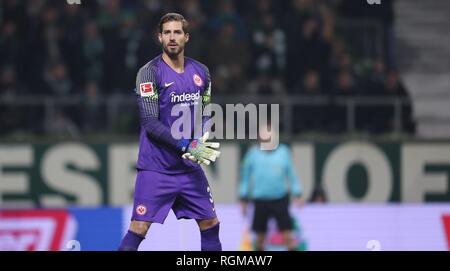 Bremen, Deutschland. 26 Jan, 2019. firo: 26.01.2019, Fußball, 1.Bundesliga, Saison 2018/2019 SV Werder Bremen - SG Eintracht Frankfurt 2:2 Geste, Kevin Trapp | Verwendung der weltweiten Kredit: dpa/Alamy leben Nachrichten Stockfoto