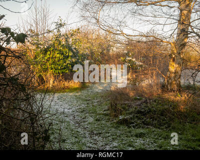 Braintree, Großbritannien. 30 Jan, 2019. Im Winter scheint die Sonne auf den Schnee, der über Nacht auf Great Bardfield Braintree Essex UK am 1. März 2018 gefallen war. Credit: William Edwards/Alamy leben Nachrichten Stockfoto