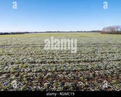 Braintree, Großbritannien. 30 Jan, 2019. Im Winter scheint die Sonne auf den Schnee, der über Nacht auf Great Bardfield Braintree Essex UK am 1. März 2018 gefallen war. Credit: William Edwards/Alamy leben Nachrichten Stockfoto