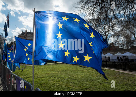 London, Großbritannien. 30. Januar 2019. Europäische Union Flaggen Fliegen außerhalb der Häuser des Parlaments am Tag nach MPs unterstützt einen Vorschlag für Theresa May, Premierminister Ihr Brexit Abkommen neu zu verhandeln. Credit: Stephen Chung/Alamy leben Nachrichten Stockfoto