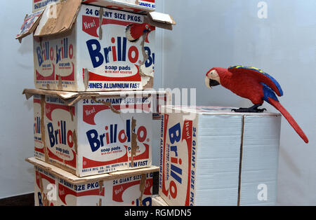 30. Januar 2019, Nordrhein-Westfalen, Düsseldorf: Die großformatigen Skulptur "Brillo Box con Papagalli" durch die italienische Künstler Duo "Bertozzi & Casoni' steht im hetjens - Deutsches Keramikmuseum (Teilansicht). Was erscheint dem Betrachter als ein Haufen von alten zerrissenen Karton cortons, in der Papageien genistet haben, besteht vollständig aus Keramik. Seit mehr als 35 Jahren die Künstler arbeiten mit dem Material Keramik, in Imola, Italien. Besucher können die Kunstwerke ansehen. Bis zum 24. März 2019. Foto: Horst Ossinger/dpa Stockfoto