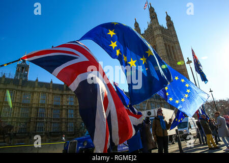 London, Großbritannien. 30 Jan, 2019. Demonstranten werden gesehen, Flaggen während des Protestes halten. Anti-Brexit Aktivistinnen außerhalb der Häuser des Parlaments über Großbritannien aus der EU protestiert. Credit: Dinendra Haria/SOPA Images/ZUMA Draht/Alamy leben Nachrichten Stockfoto