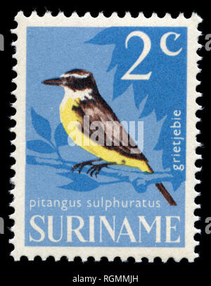 Briefmarke aus Surinam, die in der Vogelschutz Serie 1966 ausgestellt Stockfoto