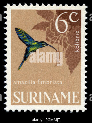 Briefmarke aus Surinam, die in der Vogelschutz Serie 1966 ausgestellt Stockfoto