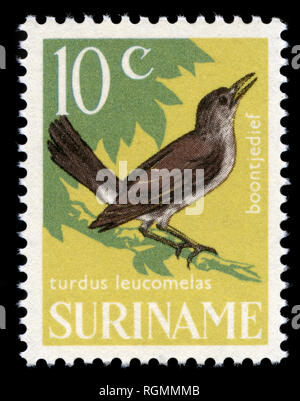 Briefmarke aus Surinam, die in der Vogelschutz Serie 1966 ausgestellt Stockfoto