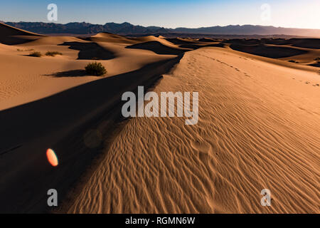 USA, Californien, Death Valley, Death Valley National Park, Mesquite flachen Sand Dünen Stockfoto