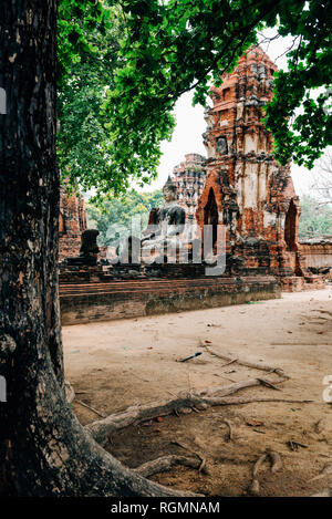 Thailand, Ayutthaya, Buddha Statue umgeben von Backstein pagodes im Wat Mahathat Stockfoto