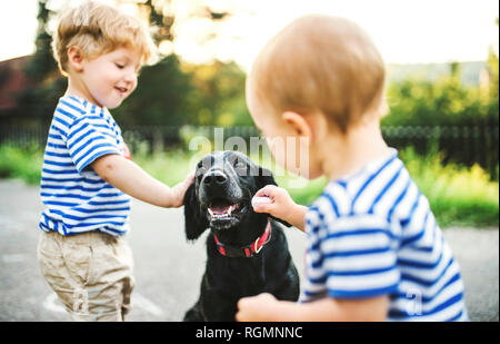 Kleinkind und seine kleine Schwester streichelt Hund im Freien Stockfoto