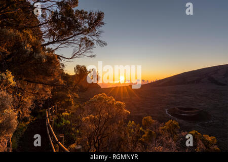 Reunion, Nationalpark, Shield Vulkan Piton de la Fournaise, Caldera Rempart und Formica Leo, sunrise Stockfoto