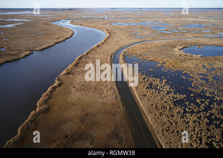 USA, Maryland, Cambridge, Flut, Überschwemmungen durch den Anstieg des Meeresspiegels bei Blackwater National Wildlife Refuge Stockfoto