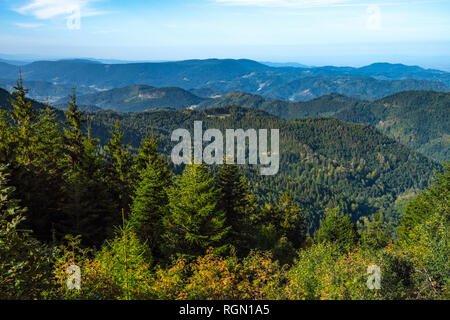 Blick auf die grünen Berge des Nördlichen Schwarzwald, Deutschland, Blick auf das Rheintal und die Vogesen im Staub Stockfoto