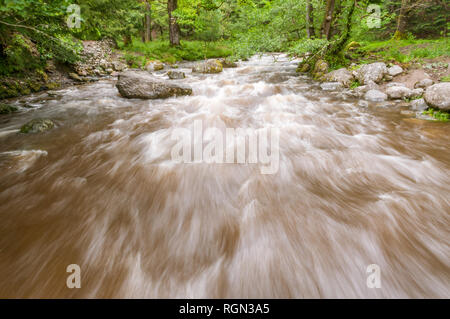 Schnell fließenden Fluss Aira Beck in der Nähe von Ullswater im englischen Lake District, Cumbria, Großbritannien. Stockfoto