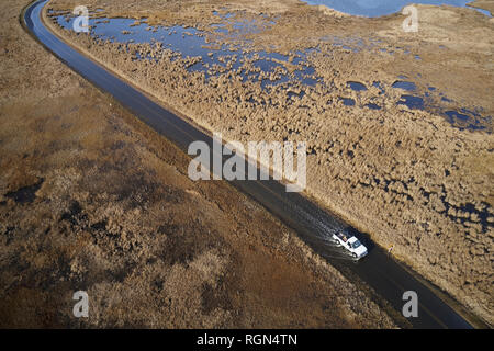 USA, Maryland, Cambridge, Flut, Überschwemmungen durch den Anstieg des Meeresspiegels bei Blackwater National Wildlife Refuge Stockfoto