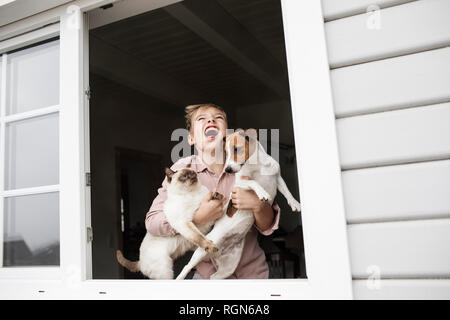 Junge am offenen Fenster mit Jack Russel Terrier und Siam Katze Stockfoto