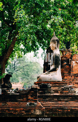 Thailand, Ayutthaya, Buddha Statue umgeben von Backstein pagodes im Wat Mahathat Stockfoto