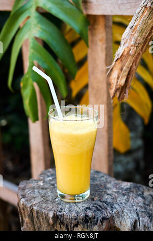 Gesunde, frische exotische Smoothie Cocktail trinken. Gelbe Detox Saft Milchshake trinken zum Frühstück Ernährung. Sommer tropische Bananen Ananas mischen. Org Stockfoto