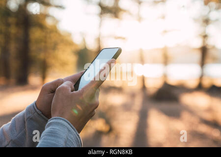 Nahaufnahmen der Hände des Menschen mittels Handy in einem Wald Stockfoto