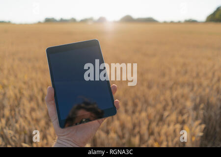 Close-up des Menschen in ein Feld Holding phablet Stockfoto