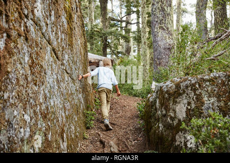 Chile, Puren, El Melado National Park, Junge, Boulder in einem Araucaria forest Stockfoto