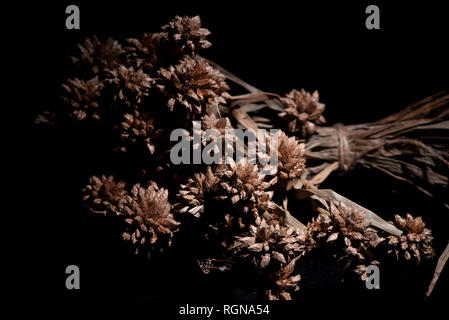Getrocknete Blumen in Restaurant Dekoration verwendet werden Stockfoto