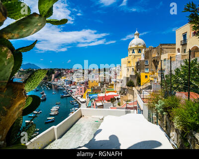 Italien, Kampanien, Golf von Neapel, Phlegräischen Inseln, Insel Procida, Hafen, Marina di Corricella Stockfoto