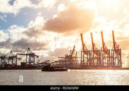 Deutschland, Hamburg, Kräne im Hafen Stockfoto