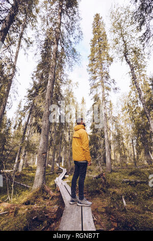 Schweden, Lappland, Mann, Windjacke auf der Promenade in den Wäldern auf Distanz suchen stehend Stockfoto