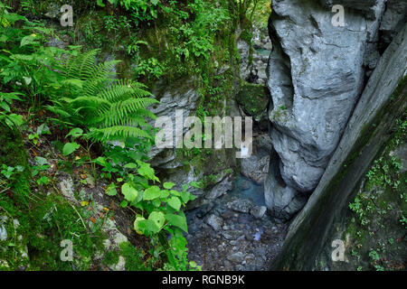 Slowenien, Tolmin, Triglav Nationalpark, Tolmin Schluchten, Bären Head Rock Stockfoto