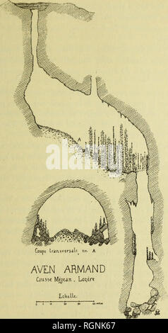 . Bulletin du MuseÌum d'histoire naturelle. Natural History. Â Â (l' l) (&gt; ucliaii (Dans imc Vasic salle ou l'oriiK' de doiiir&lt;! l iinl loo niÃ¨li* (de loii};, 5 o mÃ¨livs tun ItTi jjcur et h ho mÃ¨lr.s de lianlenr. [JO sol (Ml esl lorriH' (Rime penle d^'bonlis, soiKhk * sur-W m. Tx) de Pio-l'ondeur, forlemeni iiicliiKHi dans la Direction du N. K.. D.h. lojid de celte salJe est occup (''Par une St^rie de Colonnes stalagmi - liques de la plus fantastique beautÃ©, affectant les Formes d'Ã©normes troncs de Palmiers d'une blancheur Ã © blouissante. PrÃ¨s de 5 oo de ces Colonnes, d'une Forme keine Stockfoto
