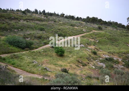 Jesus Trail - Wandern durch Galiläa Landschaft im Frühling, schöne Blumen und grüne Felder, die von Nazaret Stockfoto