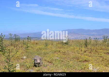 Jesus Trail - Wandern durch Galiläa Landschaft im Frühling, schöne Blumen und grüne Felder, die von Nazaret Stockfoto