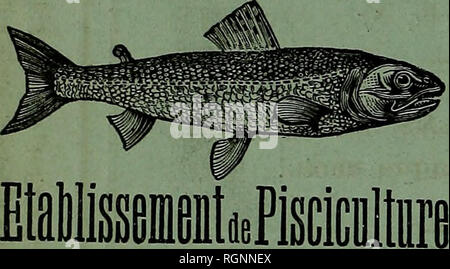 . Bulletin de la SociÃ©tÃ© nationale d'Acclimatation de France. Zoologie. -&Gt; il&gt; rusiique ngricolc rairic im Maison de, mir Jakob, 26, à l&gt; Aris 59''ANNEE REVUE HORTICOLE 59^ ANNEE FONDÃE EN 1829 PAR X. Es AUTEURS LE BON JARDINIER RÃ©dacteurs de Koch:MM. E.-A. CARRIÃrc et K "l. AjVURÃ La Revue horticole, unverzichtbare pour la Bonne tenue desiardins et des serres Trait? SnfirifllPmAnf f-, ât^= les Fragen d'Gartenbau. - Parait le 1er et le 16 de chaque mois par Ã® ivrSSanVLTd lS^^ deux Colonnes, avec une magnifique planche coloriÃ©e et des Gravures noires^ et Forme chaqula^ nnÃ© e un. Stockfoto